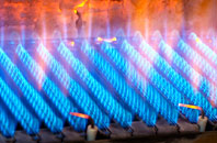 Wilderswood gas fired boilers