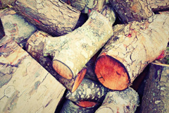 Wilderswood wood burning boiler costs